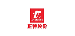 正特股份